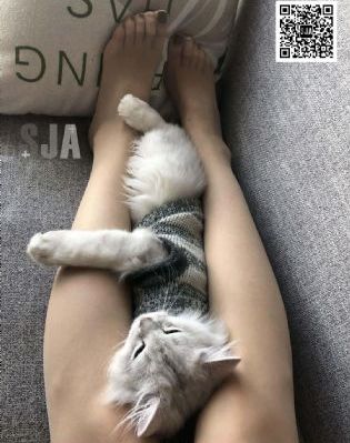 猫舌怕烫烫